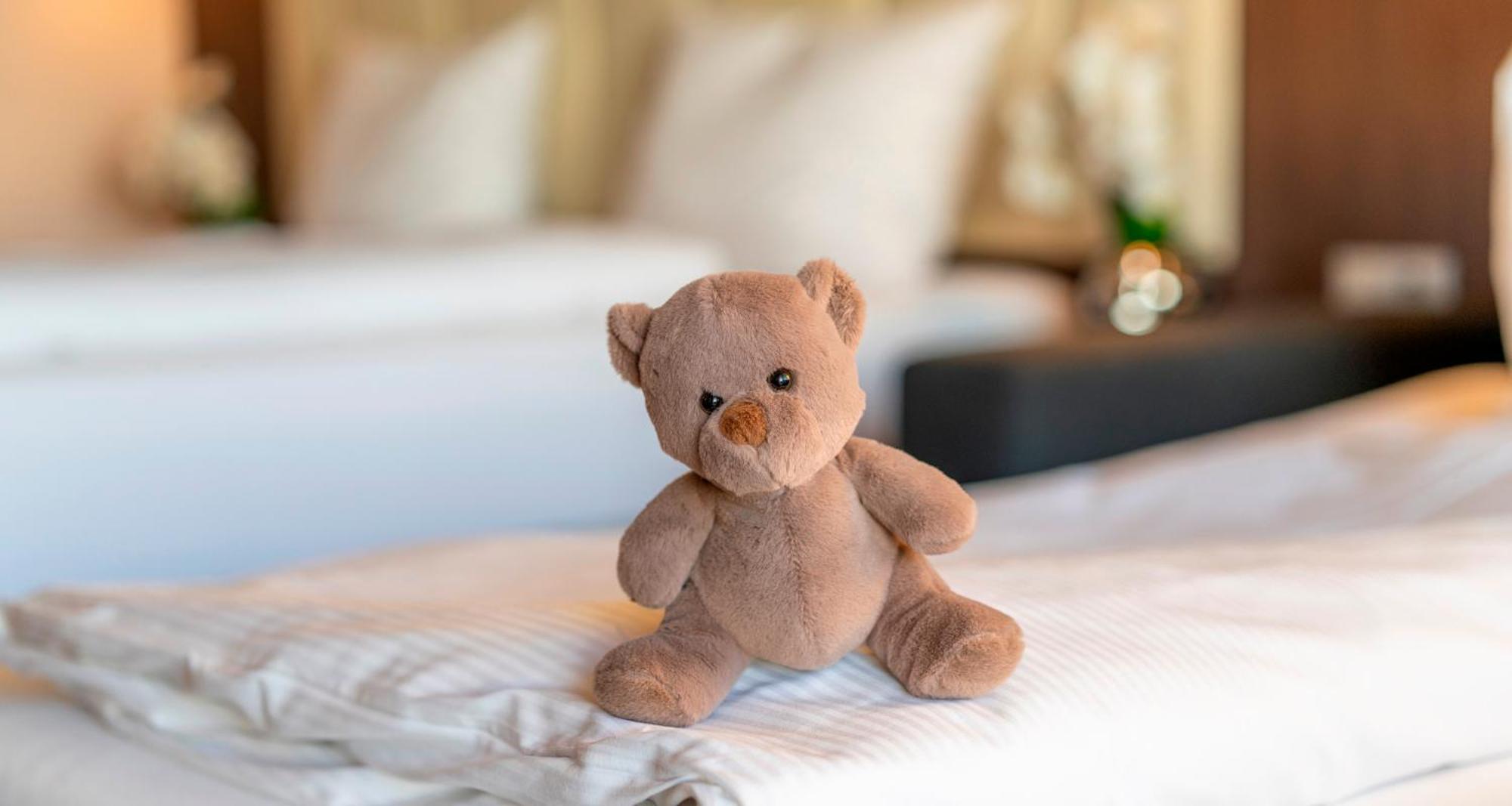 Plaza Hotel Foehr Am Bodensee Фридрихсхафен Номер фото